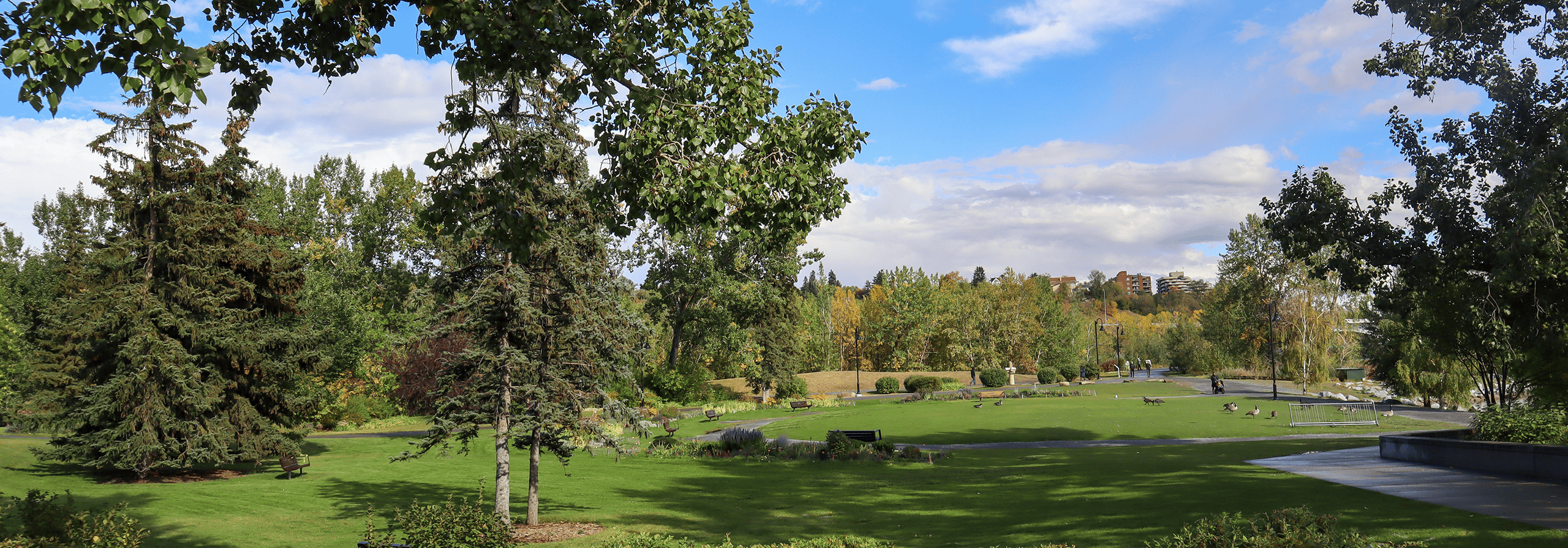 Park
